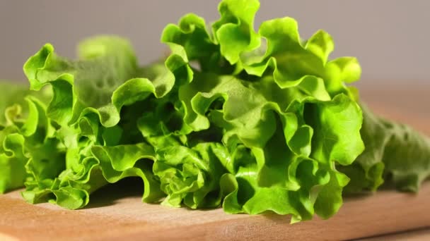 Lettuce salad falls on table macro shot, drops of water Close up — Stock Video
