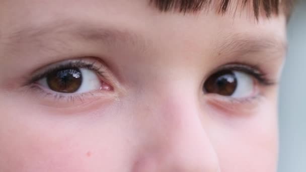 Närbild av Eye of Kid Blinking. Makro — Stockvideo