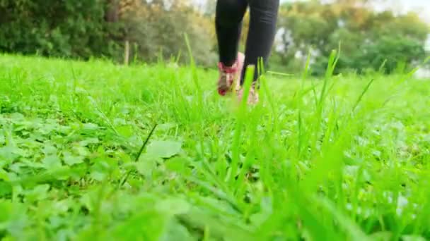 Het meisje in rode sneakers is op het groene gras in de richting van de camera. — Stockvideo