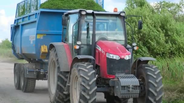 Traktor med släp transporterar nyskuren fodergröda till gården. Närbild — Stockvideo