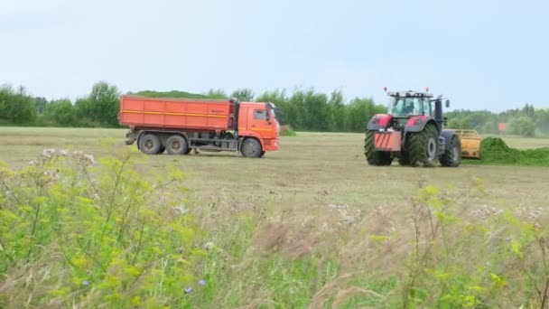 Traktör ve raylar alanda çalışıyor, silo topluyor. Kapatın. — Stok video