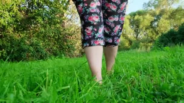 The girl walks on the green grass. Legs close up — Stock Video