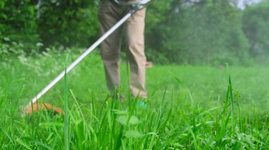Modern portakal biçme makinesi yeşil çimenleri biçer.