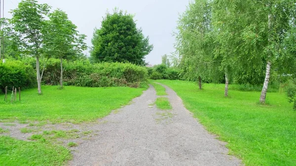 stock image A beautiful the road with green Trees