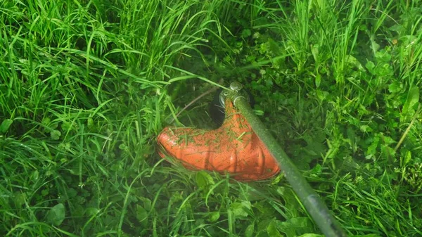 Moderne oranje trimmer maait groen gras van dichtbij — Stockfoto