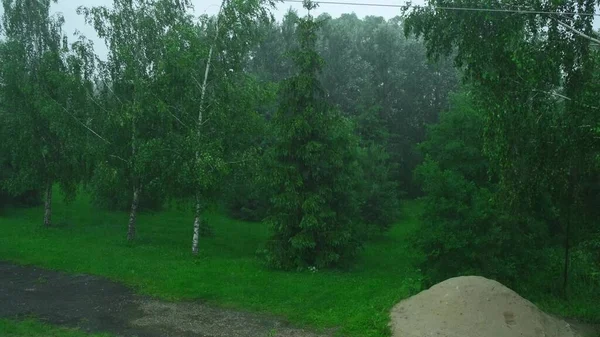 Regen in de zomerwind. Slecht weer en regen in het voorjaar en de zomer. — Stockfoto
