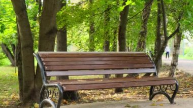 Şehirdeki boş park sokağı.