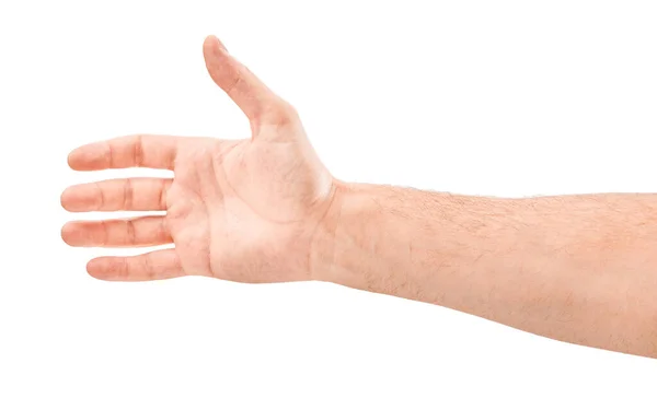 Hand on Isolated white background. Five fingers. Palm. — Stock Photo, Image