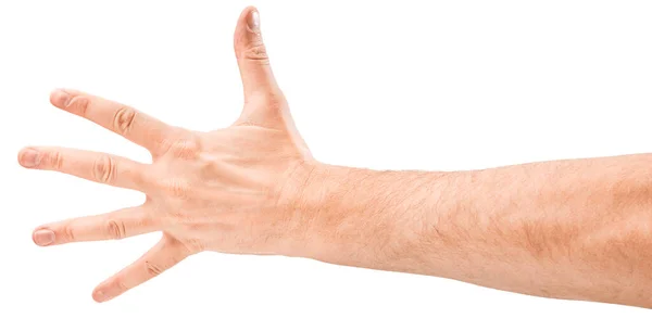 Рука человека изолирована на белом фоне — стоковое фото