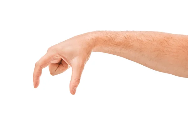 Adult Man Hands Compares Something Isolated White — Stock Photo, Image