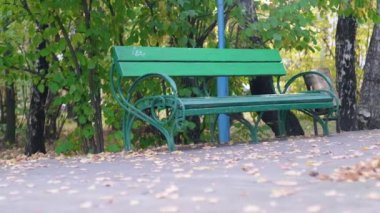 Parktaki yeşil bankta. Kapat.