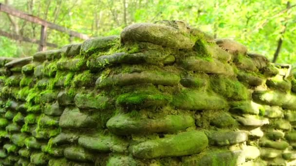 Old stone wall covered with moss. close up — Stock Video