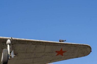 Kırmızı bir yıldız ile askeri bir Sovyet uçak kanat güvercin