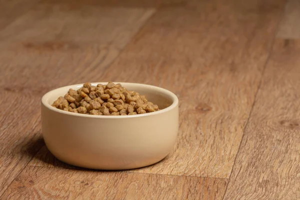 Beige gato y perro plato de comida en el suelo —  Fotos de Stock