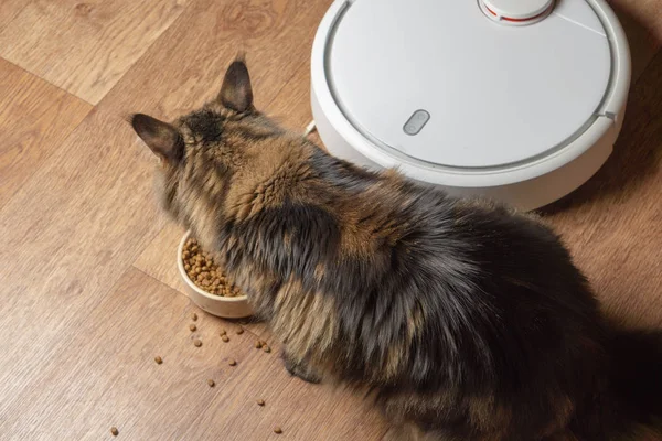 Robot vacuum cleaner tidy up cat food