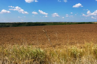 Manzara. Güzel bir yaz gökyüzü arka planda sürülmüş alan