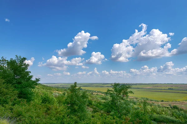 Красивый летний пейзаж с ярким голубым небом — стоковое фото