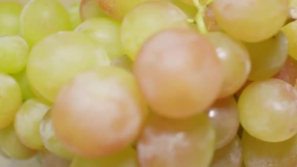 Délicieux raisins mûrs, gros plan, mise au point douce — Video