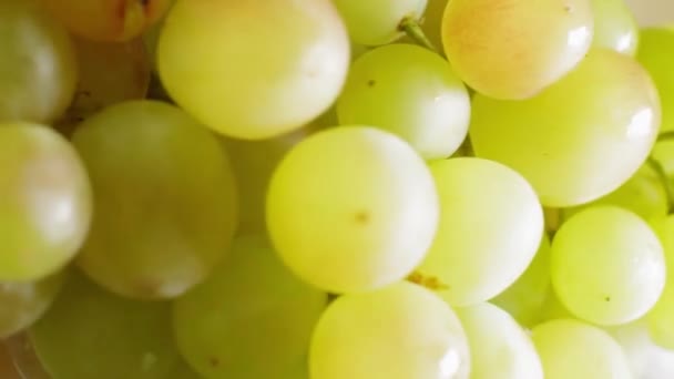 美味的成熟葡萄，特写，软焦点 — 图库视频影像