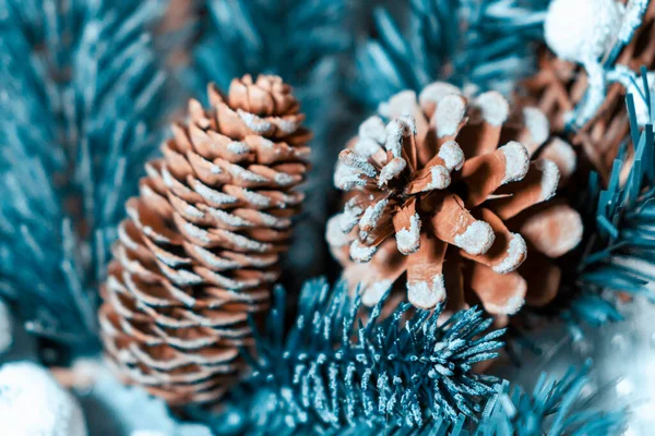 Noel ağacı. Noel ağacında güzel oyuncaklar, bir tasarımcı ya da XMAS dekorasyonları için boş.