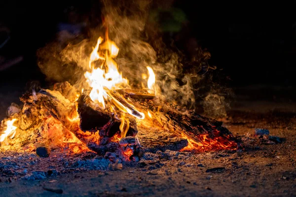 Gece parlak güzel şenlik ateşi, kamp, at yarışı.