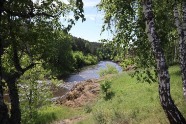 Yaz manzarası - orman, kaya ve mavi gökyüzü - Rusya 'nın doğası