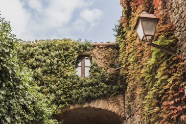 Bu İspanyol Köyü Peratallada, Girona devlet içinde bir tırmanıcı bitki çevrili bir pencere güzel bir görünümüdür. Yapraklar yeşil ve kahverengi Sonbahar başlangıcı nedeniyle.