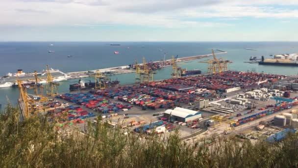 Time Lapse Port Barcelona Lot Activity Trucks Cargo Boats — Stock Video
