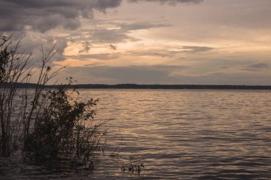 Amazon, Brezilya için siyah nehir manzarası. Gün batımı zamanı ve sular koyu kırmızıdır.