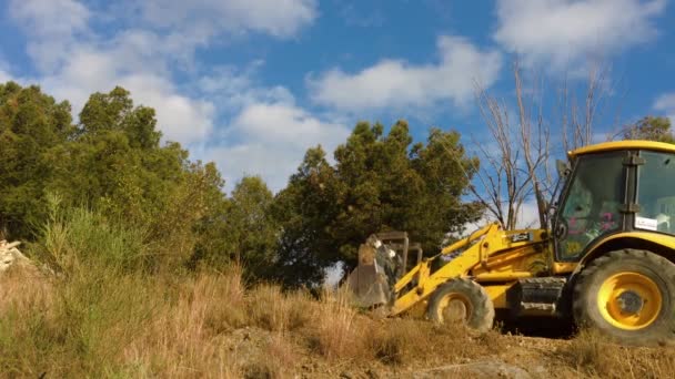 挖掘机清除自然公园中的工作遗迹 这是一个阳光明媚的日子 机器很难达到他的目标 — 图库视频影像