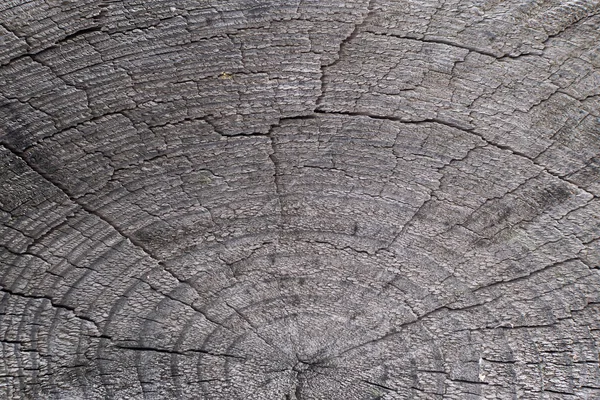 Старый Серо Коричневый Натуральный Деревянный Фон Виде Доски Трещинами Узлами — стоковое фото