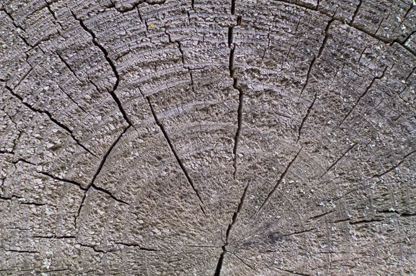 結び目と粗い表面を持つボードの形で古い灰褐色の自然な木の背景 — ストック写真