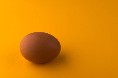 Turuncu bir arka plan üzerinde kahverengi tavuk yumurtası