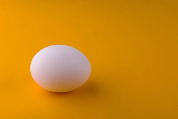 Turuncu bir arka plan üzerinde beyaz tavuk yumurtası