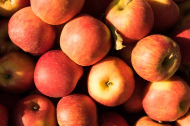 Bina cephesinin geometrik renk unsurları uçaklar, çizgiler, röfleli köşeler ve soyut arka plan ve mavi, sarı, gri renklerin dokusu için yansımalar. Metin için yer