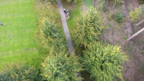 Aerial Skjuta Hösten Träd Parken — Stockvideo
