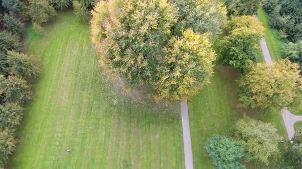 Pousse Aérienne Des Arbres Automne Dans Parc — Video