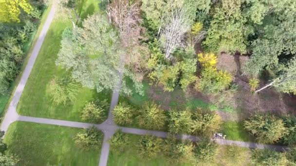 Aerial Shoot Autumn Trees Park — Stock Video