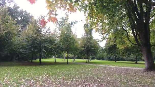 Brote Aéreo Árboles Otoñales Parque — Vídeos de Stock