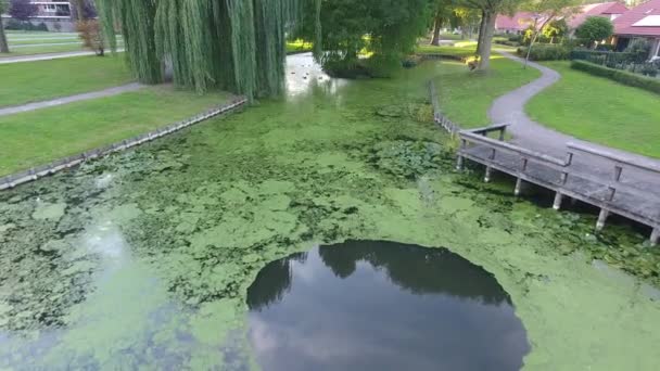 秋のシーズン オランダ公園内の小さな湖 — ストック動画