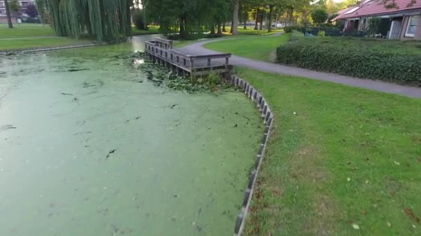 Beaux Arbres Automne Dans Parc Pays Bas — Video