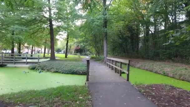 Beaux arbres d'automne dans le parc, Pays-Bas 