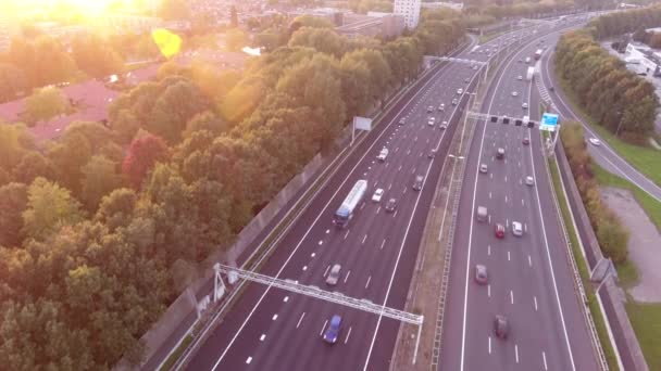 Aerial View Highway Autumn Season Zwijndrecht Netherlands — Stock Video