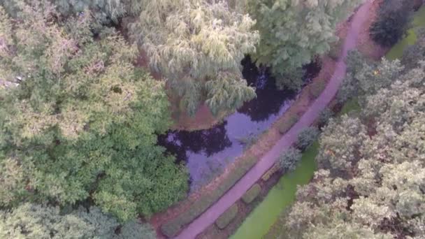 Luchtfoto Van Herfst Bomen Het Park — Stockvideo