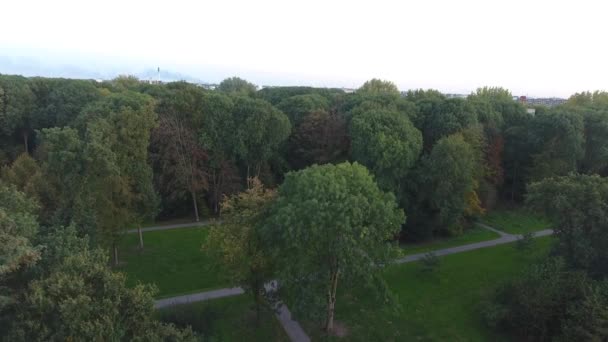 Luftaufnahme Der Herbstlichen Naturbäume Park — Stockvideo