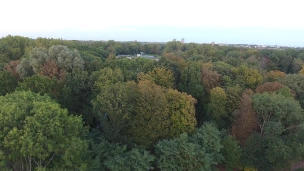 Aerial View Autumn Nature Trees Park — Stock Video