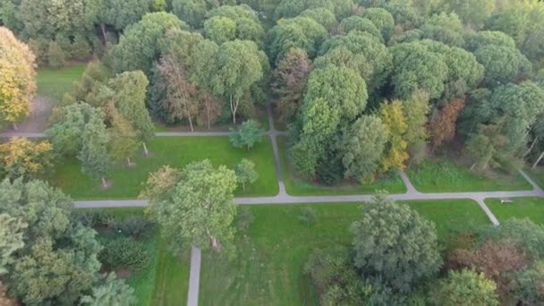 Veduta Aerea Degli Alberi Naturali Autunnali Nel Parco — Video Stock