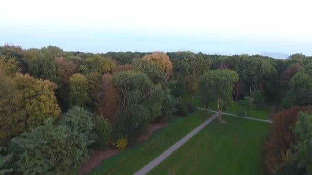 Luftaufnahme Der Herbstlichen Naturbäume Park — Stockvideo