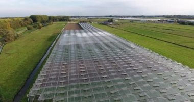 Hollanda'da glasshouse havadan çekim