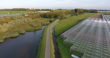 Hollanda'da glasshouse havadan çekim